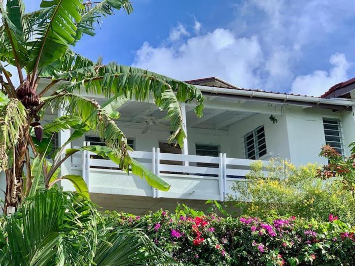 Halcyon Heights Condominium Dickenson Bay Exterior photo